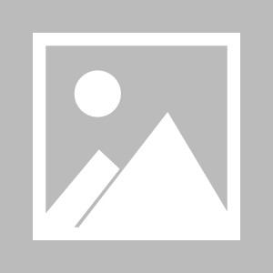 【夜读】这就是东契奇的CBA队友波尔津吉斯吗