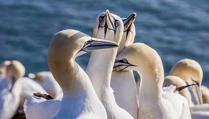 Kaiyun：云端之力让生活与事业共同开花