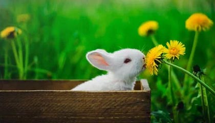 Kaiyun：云端之力让生活与事业共同开花